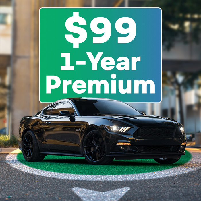 St. Paddy's Day Sale!