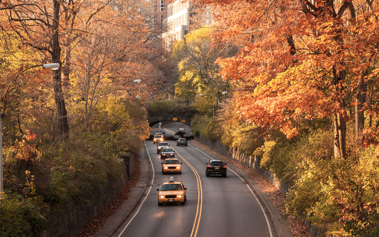 Several cars and taxis drive down a city road lined by fall foliage. 